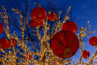 Çin Yeni Yıl Fenerler Bir Ağaçtan Asılı