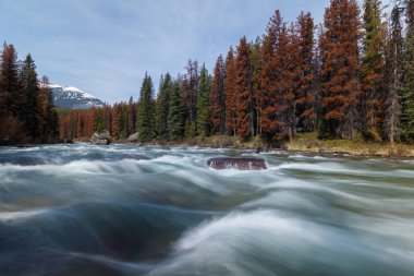 Hareket bulanık su ile Hızlı Hareketli Nehir