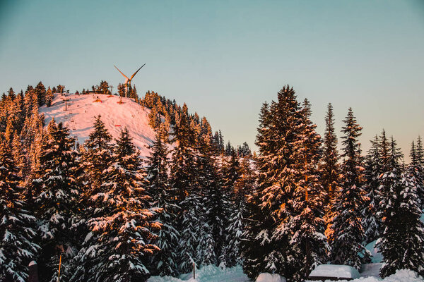 Photo of Grouse Mountain in North Vancouver, BC, Canada