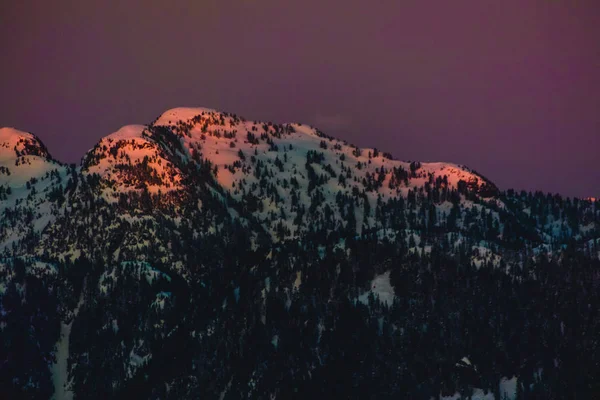 Фото Grouse Mountain Северном Ванкувере Британская Колумбия Канада — стоковое фото