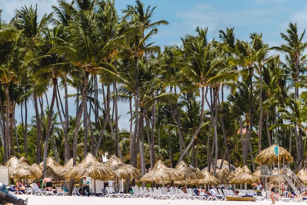 Photo Bavaro Beaches Punta Cana Dominican Republic — Stock Photo, Image