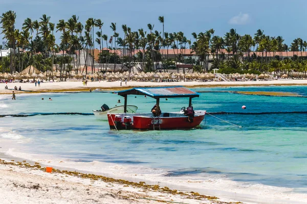 Fénykép Bavaro Strandok Punta Cana Dominikai Köztársaság — Stock Fotó