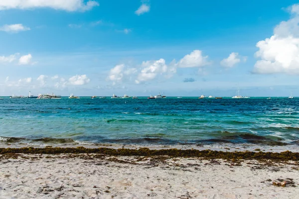 Foto Pláže Bavaro Punta Cana Dominikánská Republika — Stock fotografie