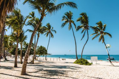 Bavaro plajlar Punta Cana, Dominik Cumhuriyeti için fotoğrafı