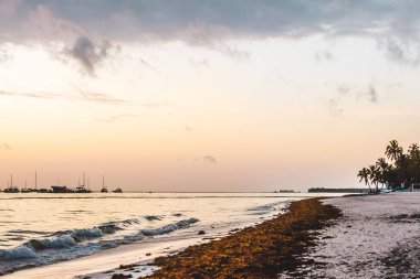 Bavaro plajlar Punta Cana, Dominik Cumhuriyeti için fotoğrafı