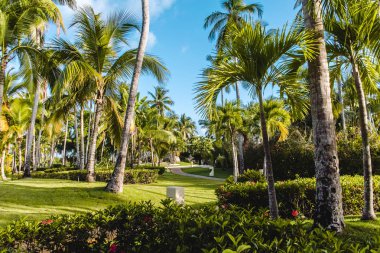 Bavaro plajlar Punta Cana, Dominik Cumhuriyeti için fotoğrafı