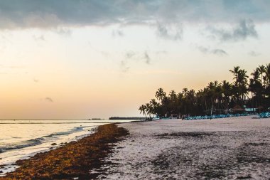 Bavaro plajlar Punta Cana, Dominik Cumhuriyeti için fotoğrafı