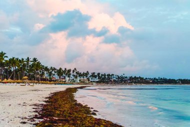 Bavaro plajlar Punta Cana, Dominik Cumhuriyeti için fotoğrafı