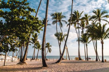 Bavaro plajlar Punta Cana, Dominik Cumhuriyeti için fotoğrafı