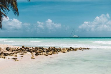 Bavaro plajlar Punta Cana, Dominik Cumhuriyeti için fotoğrafı