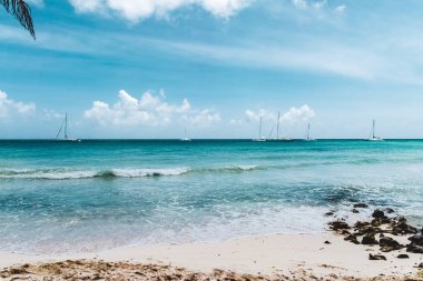Bavaro plajlar Punta Cana, Dominik Cumhuriyeti için fotoğrafı