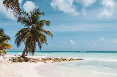 Bavaro plajlar Punta Cana, Dominik Cumhuriyeti için fotoğrafı