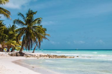 Bavaro plajlar Punta Cana, Dominik Cumhuriyeti için fotoğrafı
