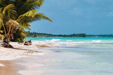 Bavaro plajlar Punta Cana, Dominik Cumhuriyeti için fotoğrafı