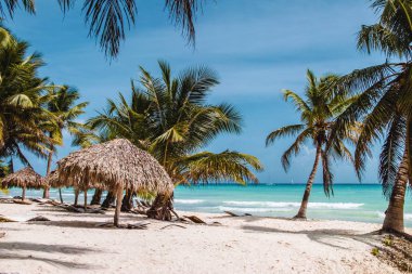 Bavaro plajlar Punta Cana, Dominik Cumhuriyeti için fotoğrafı