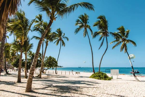 Photo Bavaro Beaches Punta Cana Dominican Republic — Stock Photo, Image