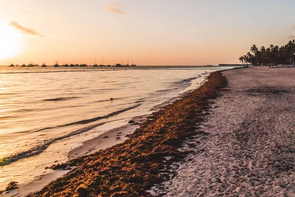 Foto Spiagge Bavaro Punta Cana Repubblica Dominicana — Foto Stock