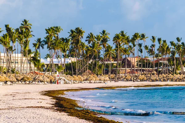 Bavaro plajlar Punta Cana, Dominik Cumhuriyeti için fotoğrafı