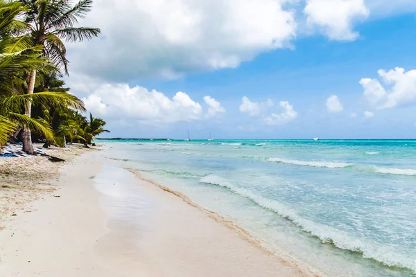 Fotos Von Den Stränden Des Bavaro Punta Cana Dominikanische Republik — Stockfoto