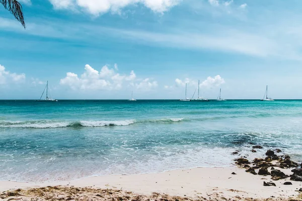 Photo Bavaro Beaches Punta Cana Dominican Republic — Stock Photo, Image