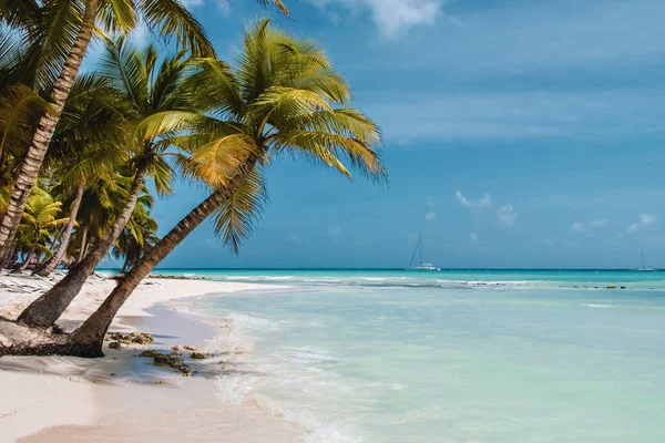 Foto Van Bavaro Stranden Punta Cana Dominicaanse Republiek — Stockfoto