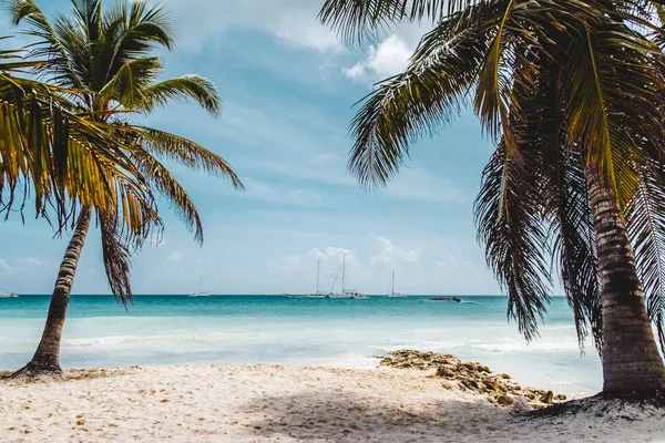 多米尼加共和国蓬塔卡纳的巴瓦罗海滩照片 — 图库照片