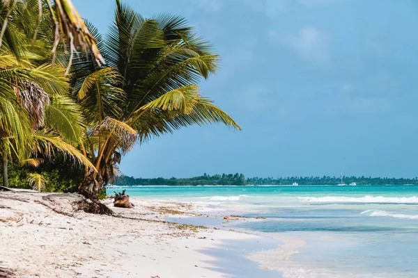 Foto Playas Bavaro Punta Cana República Dominicana — Foto de Stock