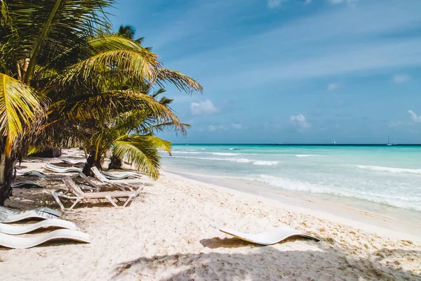 Fotos Von Den Stränden Des Bavaro Punta Cana Dominikanische Republik — Stockfoto