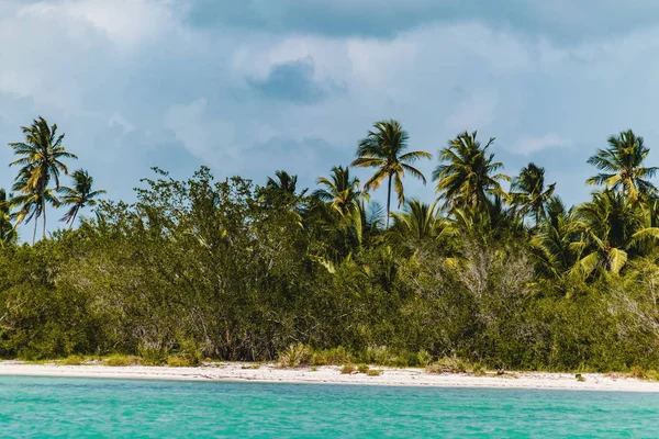 Foto Playas Bavaro Punta Cana República Dominicana — Foto de Stock