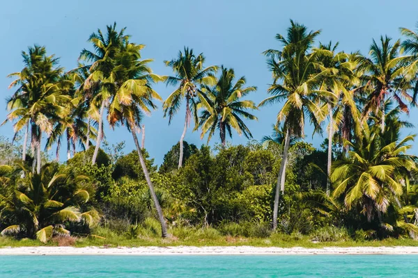 Photo Bavaro Beaches Punta Cana Dominican Republic — Stock Photo, Image