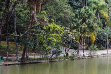 Sao Paulo, Brezilya 'da Horto Florestal
