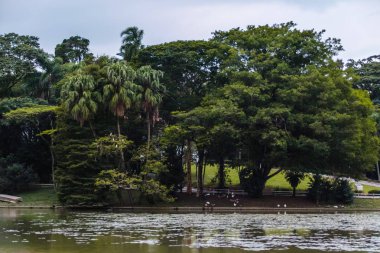 Sao Paulo, Brezilya 'da Horto Florestal
