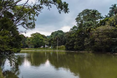 Sao Paulo, Brezilya 'da Horto Florestal