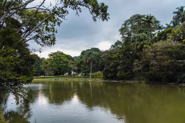 Horto Florestal di Sao Paulo, Brasil — Stok Foto