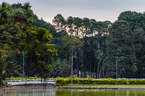 Horto Florestal di Sao Paulo, Brasil — Stok Foto