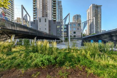 Vancouver 'daki Gökkuşağı Parkı, BC, Kanada