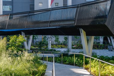 Vancouver 'daki Gökkuşağı Parkı, BC, Kanada