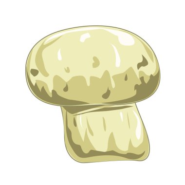 Karikatür şirin sebze vektör herkes, taze ve sağlıklı gıda için.