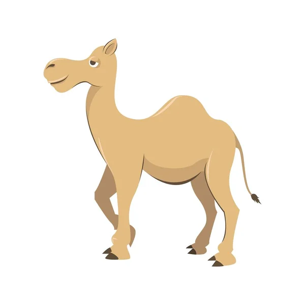 Ilustraciones Dibujos Animados Camello Animales Camello Lindo Desierto — Vector de stock