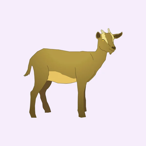 Illustration Brown Goat Small Horn — Stock Vector
