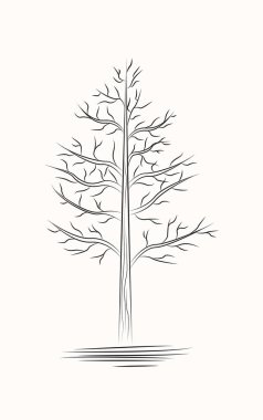 Ağaç Çizgisi Sanatı Siyah ve Beyaz Çizimler Çiziyor