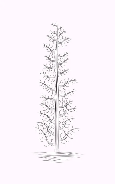 Tree Line Art Fekete Fehér Vázlatok Rajz — Stock Vector