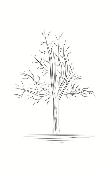 Baumlinien Kunst Schwarz Weiß Skizzen Zeichnung — Stockvektor
