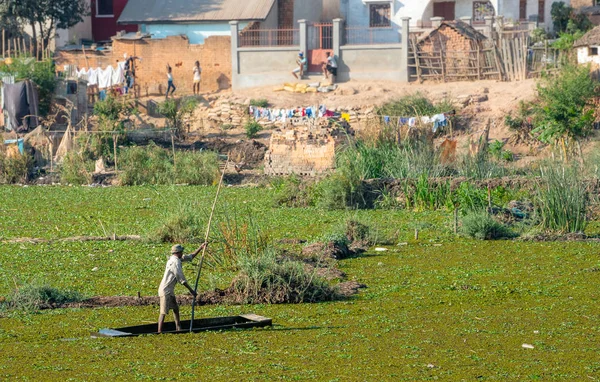 Bauern Auf Reisfeldern Der Stadt Antananarivo Der Hauptstadt Madagaskars Tanarivo — Stockfoto