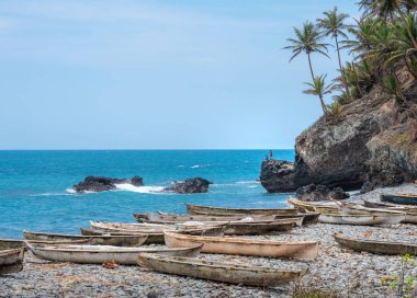 Deniz plaj çok Tom ve Principe palmiye ağacı balıkçılık manzara. Dağlar Pico Co Grande severim. Sao Tome ve Principe için seyahat. Gine Körfezi güzel Cennet Adası. Portekiz eski sömürgesi