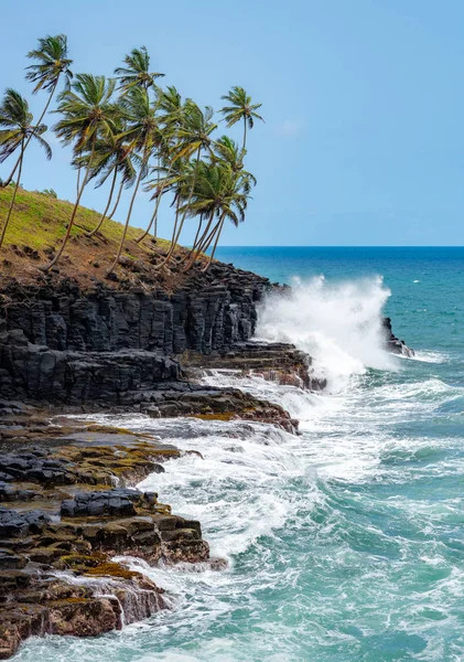 Praia Mar Palmeiras Paisagem Pesca Tom Príncipe Montanhas Como Pico — Fotografia de Stock