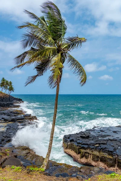 Praia Mar Palmeiras Paisagem Pesca Tom Príncipe Montanhas Como Pico — Fotografia de Stock