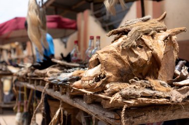 Ouidah, Benin vudu piyasa ahır. Benin Batı Afrika voodoo din. Dini törenleri için satılan ölü hayvan parçaları.