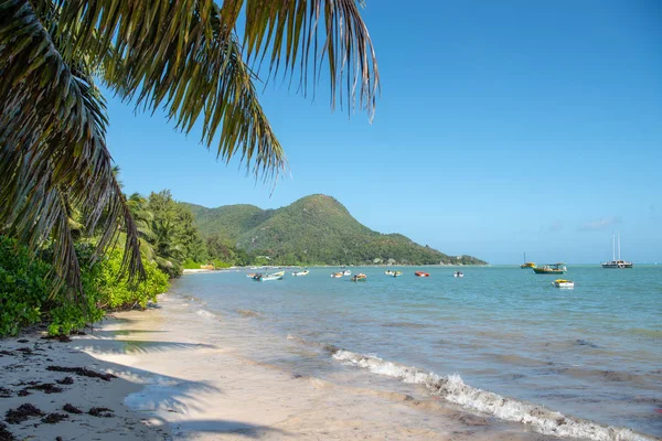 Stenen Het Strand Van Seychellen Praslin Strand Paradijs Vakantie Reizen — Stockfoto