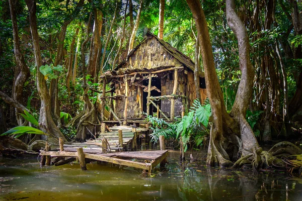 Cabin in the forest and mangrove on a river bank at the indian river in Dominica, house is used in pirates of the caribbean movie as calypso\'s house. altered with computer graphics from its original